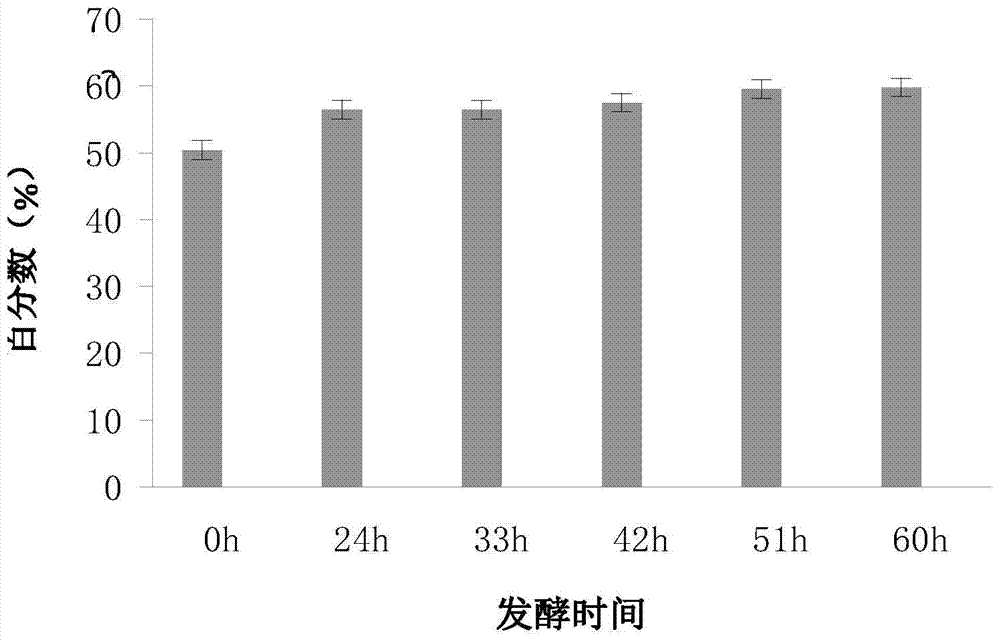 Fermented soybean meal, bacterial strain and application thereof