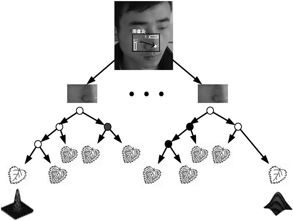 ATM terminal human face key points partially shielding detection method based on random forest