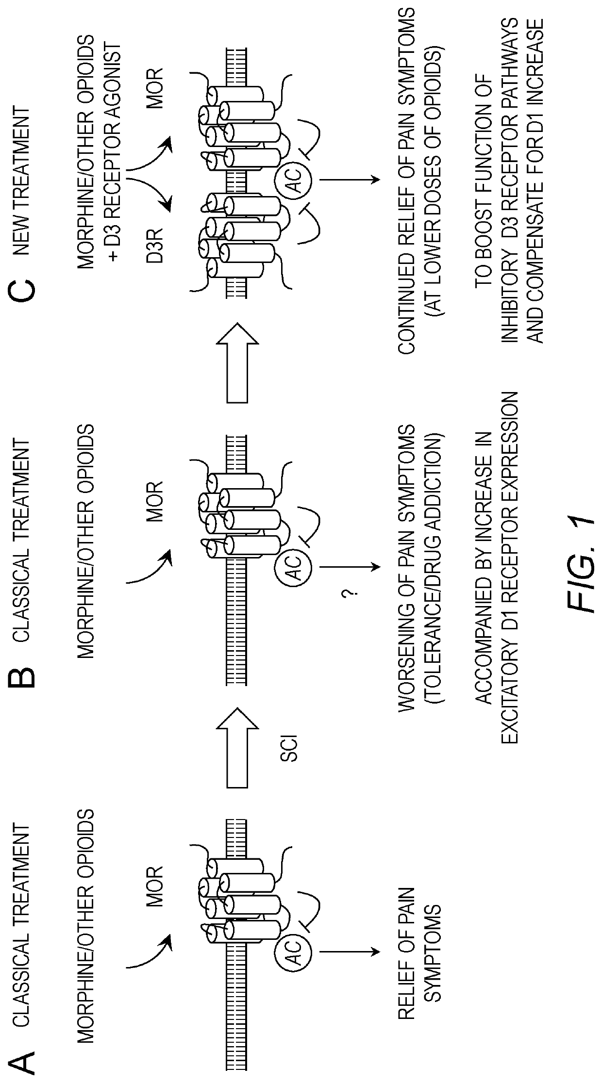 Methods and Compositions for Maintaining Opioid Efficacy in the Treatment of Pain