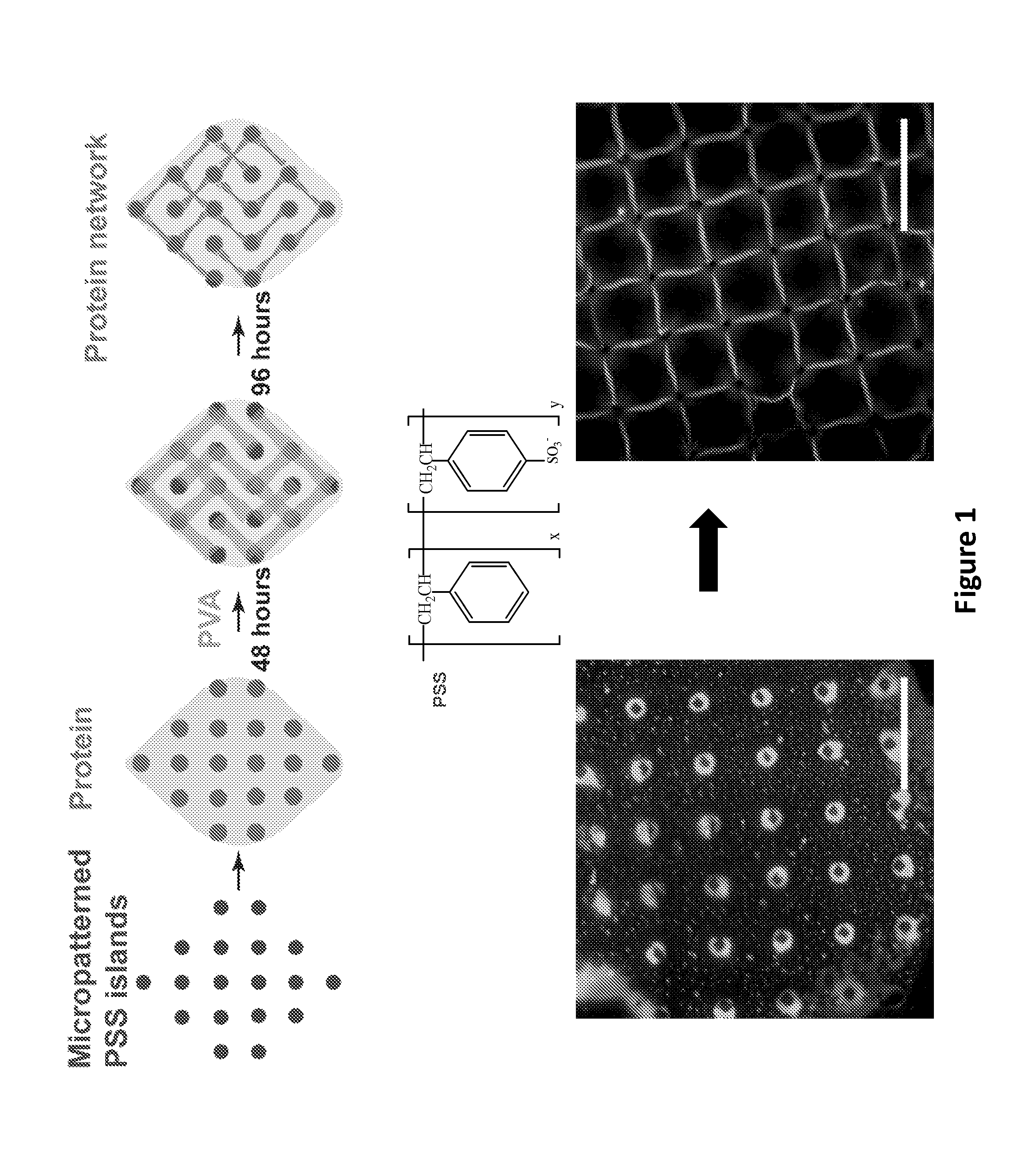 Cell-free in vitro models for traumatic brain injury and methods for preparation and use thereof