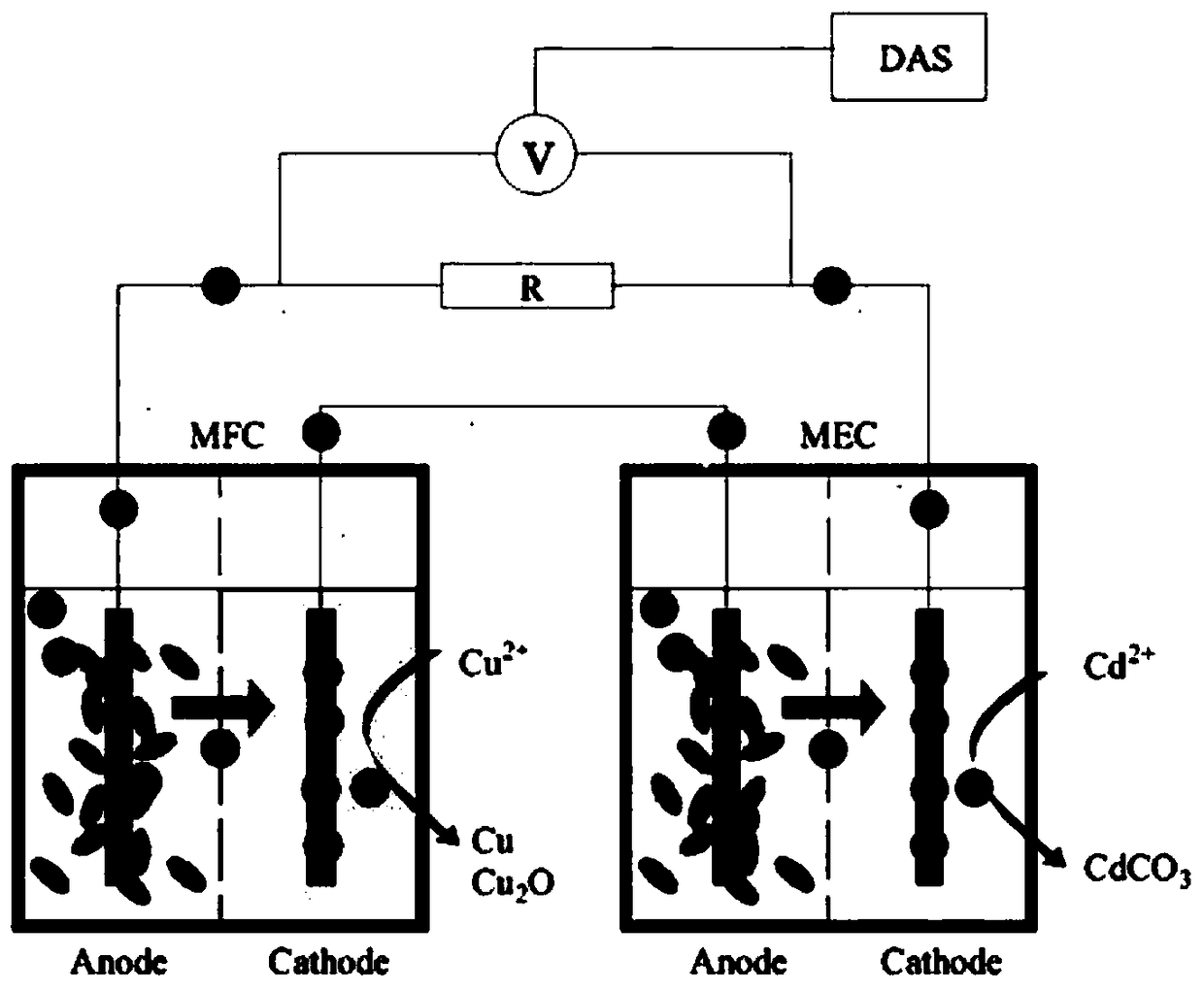 Method for removing cadmium ions in heavy metal wastewater