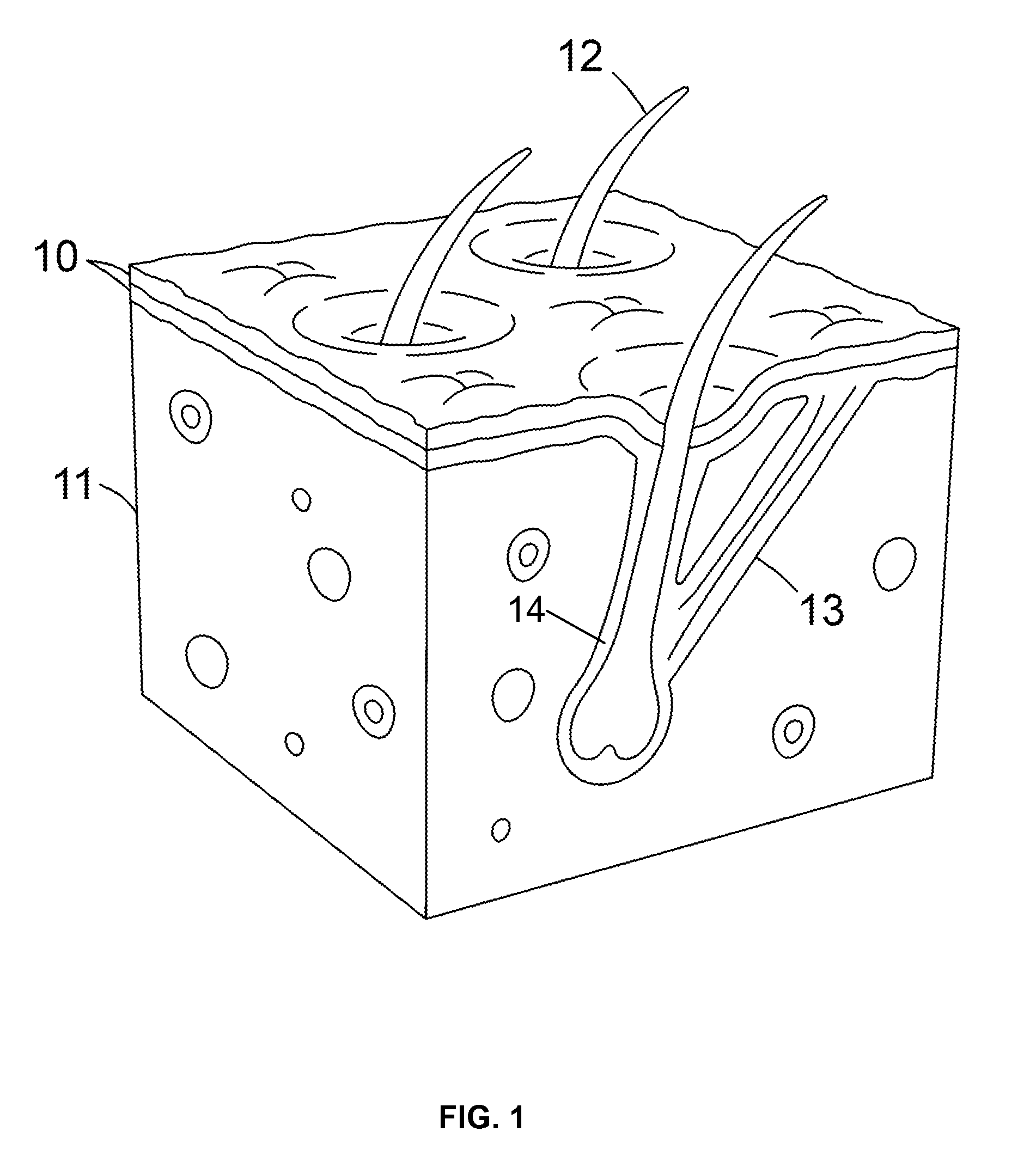 Pilomotor effect stimulating device and method