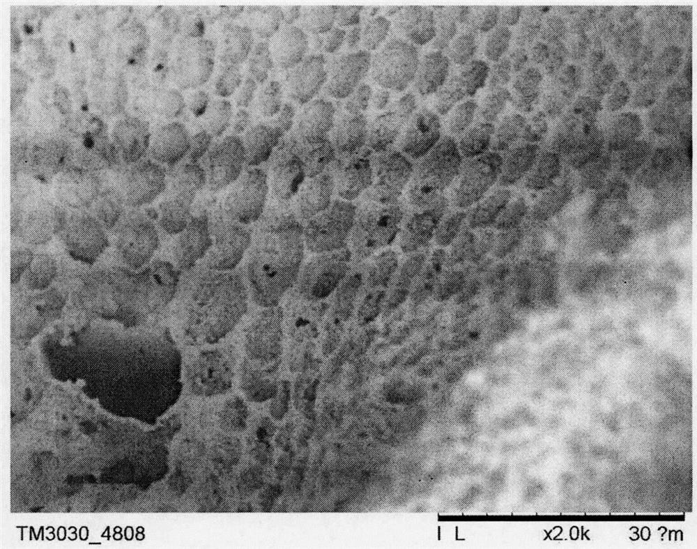 A preparation method of high-performance nylon porous material that can be prepared on a large scale