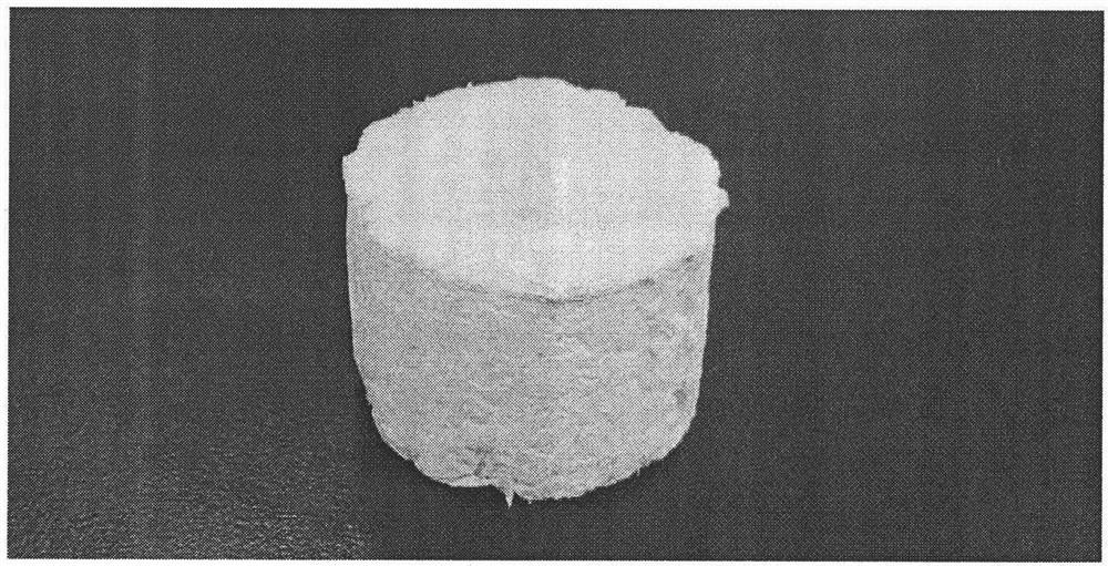 A preparation method of high-performance nylon porous material that can be prepared on a large scale