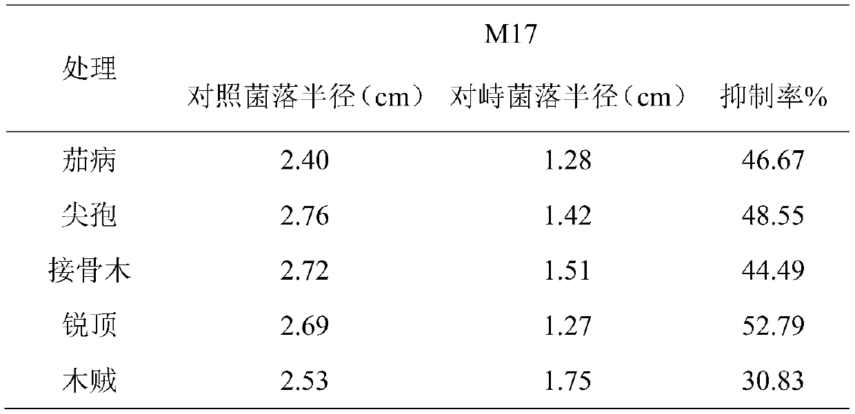 Breeding method of trichoderma harzianum high-yielding strain for preventing and controlling potato root rot