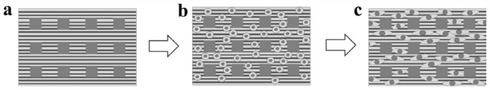 A cardiomyocyte conductive microneedle patch integrated with induced pluripotent stem cell source and its preparation method and application