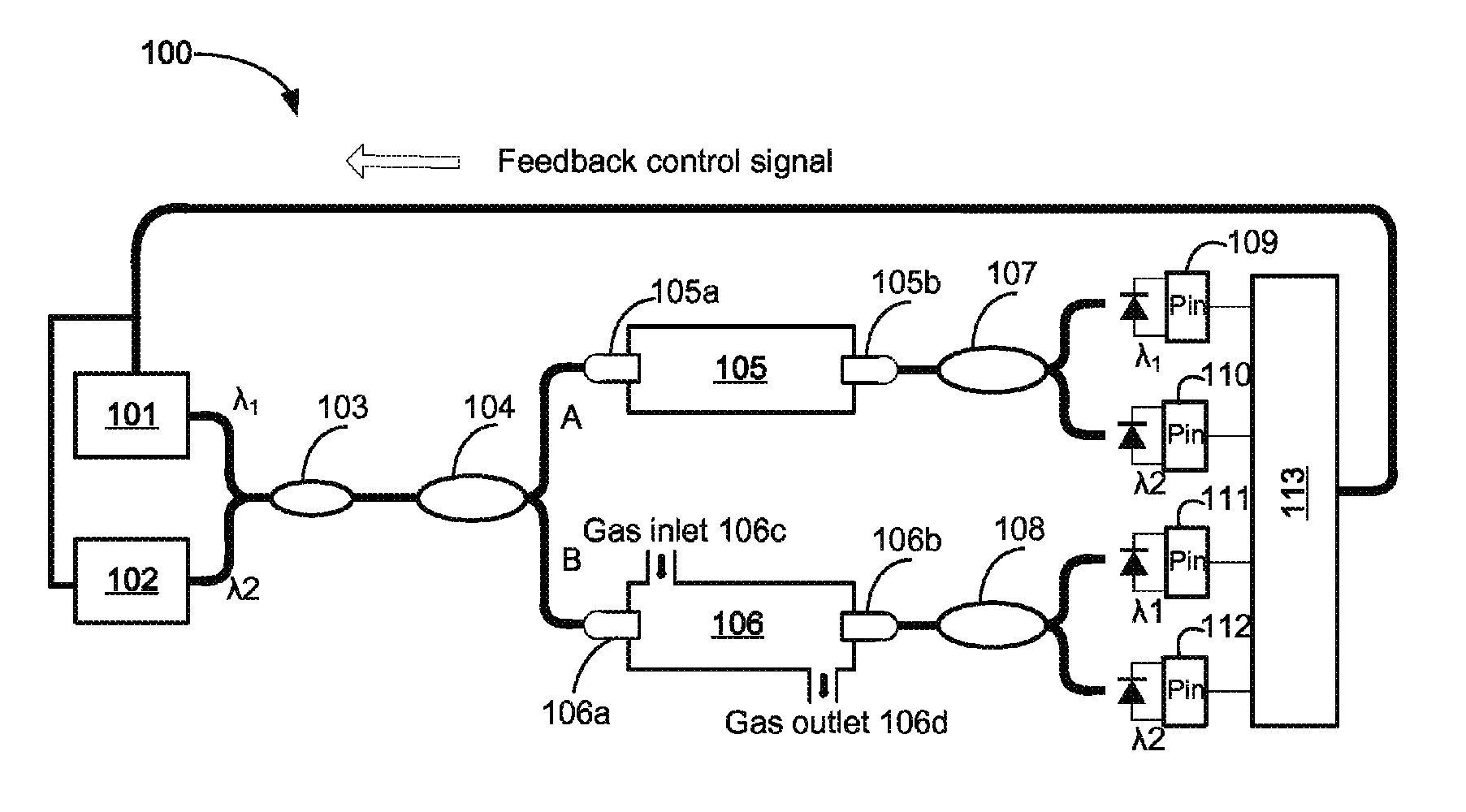 Gas detection system using semiconductor laser with feedback compensation by gas reference cavity