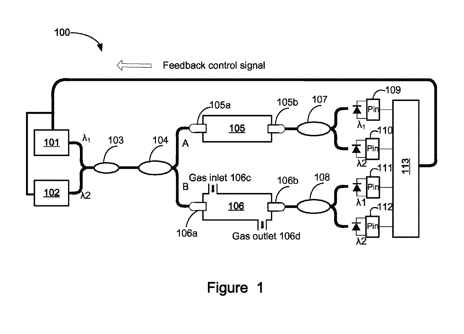 Gas detection system using semiconductor laser with feedback compensation by gas reference cavity