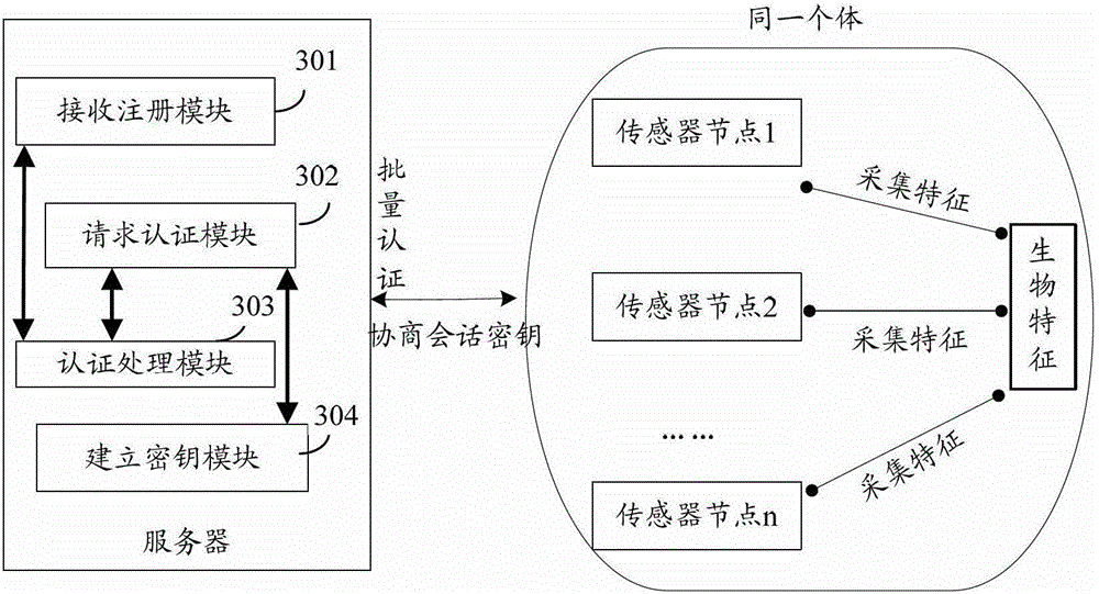 Biometric-based batch authentication method and server