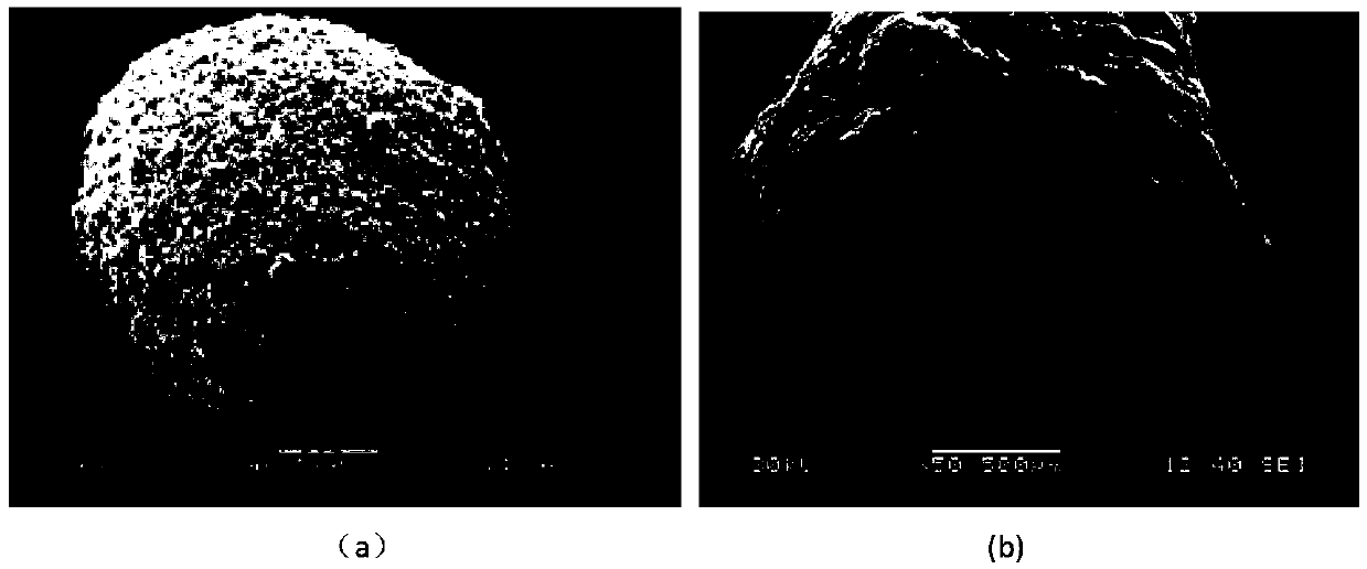 Microporous spherical ammonium nitrate and its preparation method