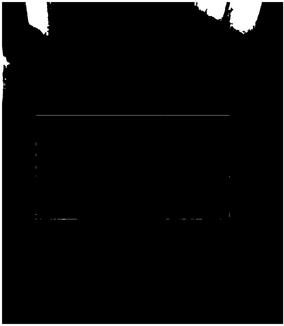 Anti-alopecia shampoo containing natural plant ingredients and preparation method thereof