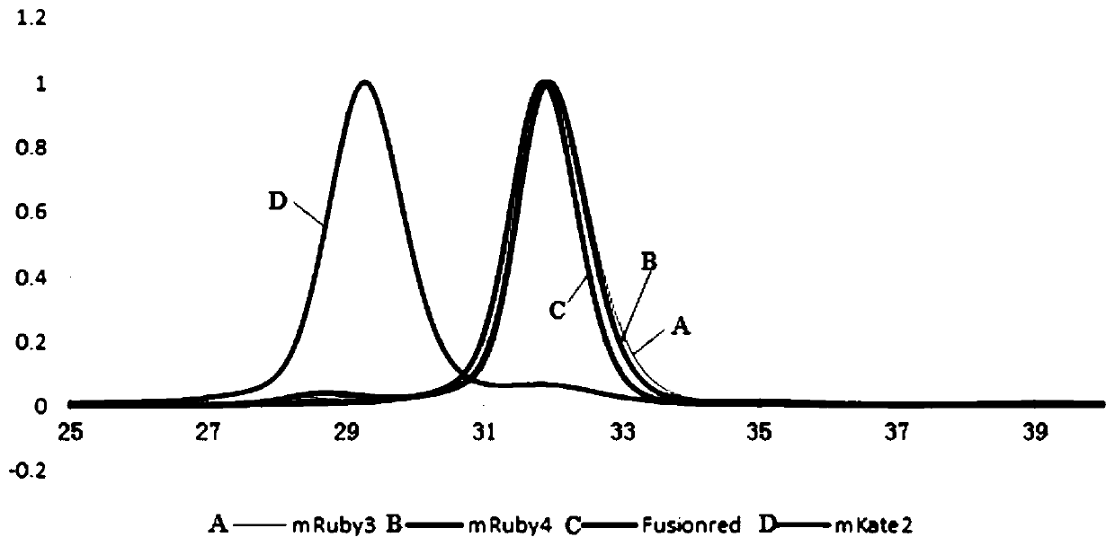 A kind of red fluorescent protein, fusion protein, isolated nucleic acid, carrier and application