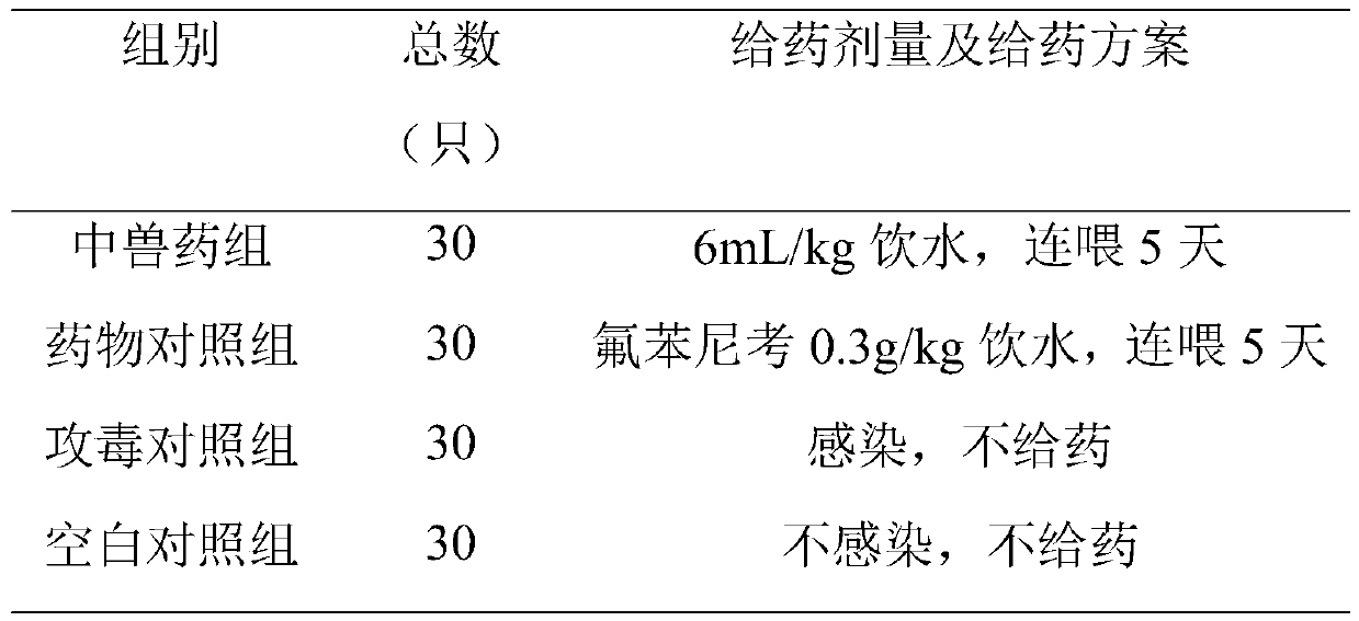 Veterinary herbal medicine preparation for treating chicken colibacillosis and preparation method of veterinary herbal medicine preparation