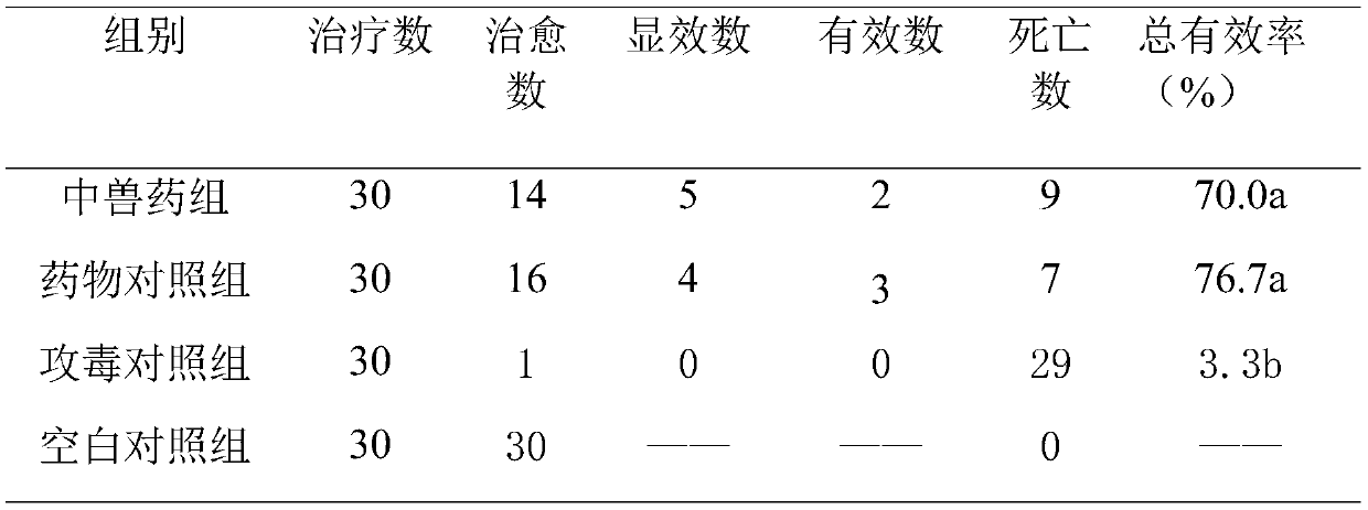 Veterinary herbal medicine preparation for treating chicken colibacillosis and preparation method of veterinary herbal medicine preparation