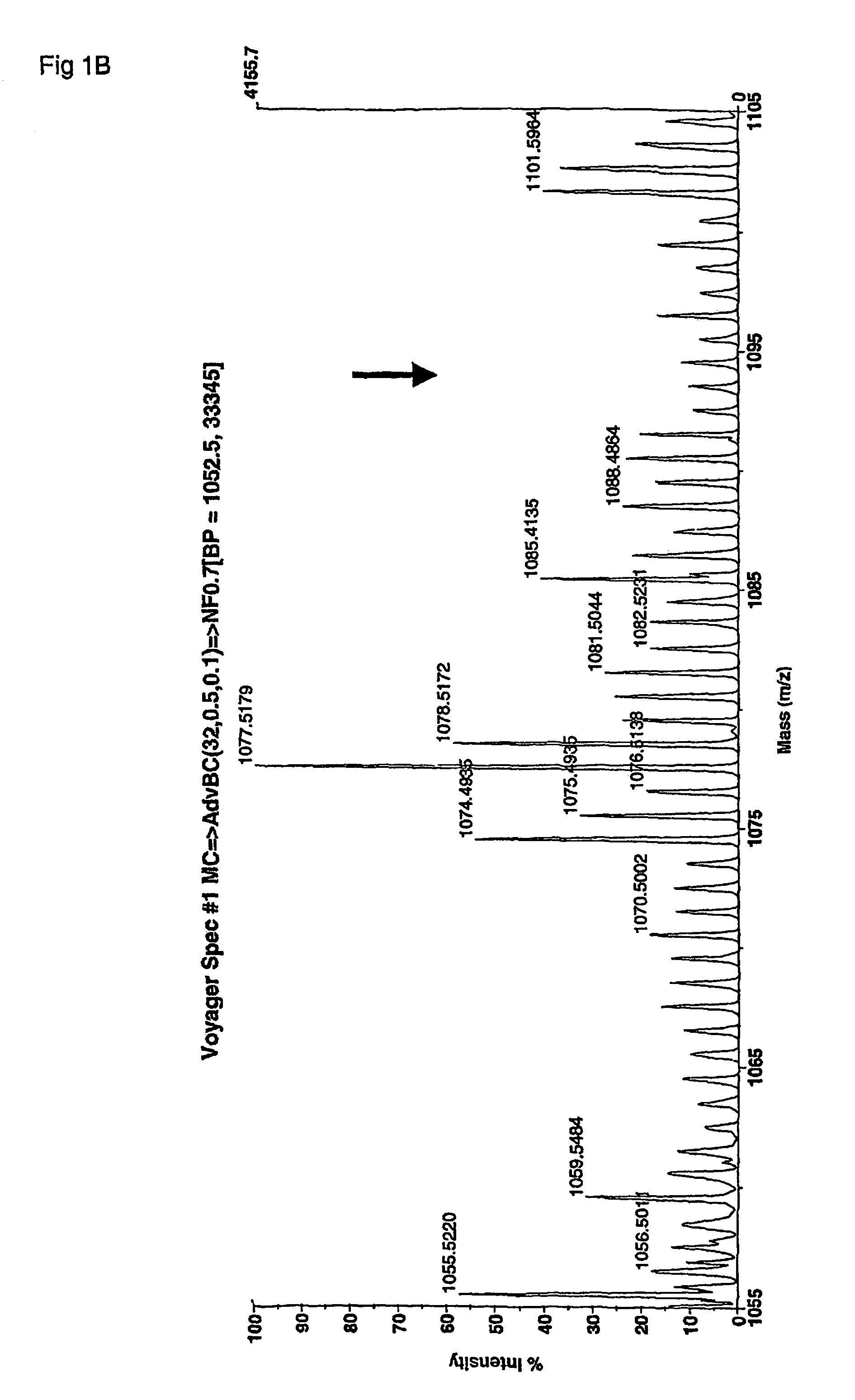 Elastin peptide fingerprints and analysis methods for MMP12 related to COPD