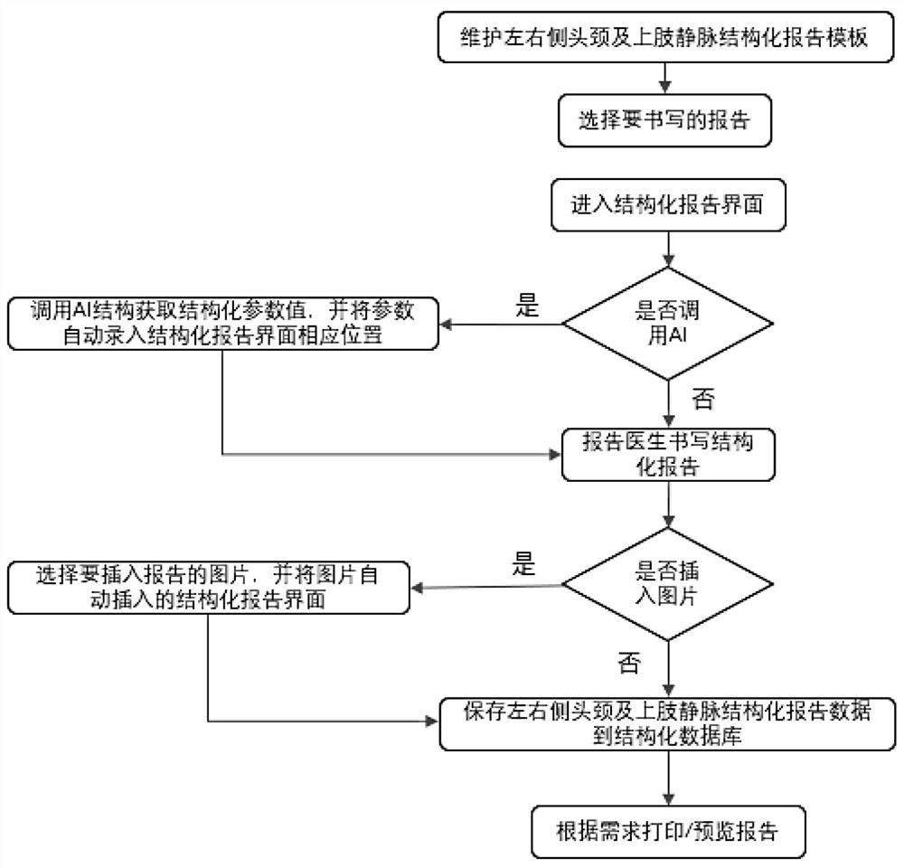 Head and neck and upper limb vein structured report design method and system