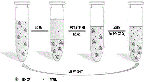 Method of cloud point extraction for fluorescent whitening agent VBL in sewage