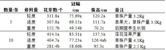 Pruning method for promoting flower bud differentiation of blueberries under open field substrate cultivation condition