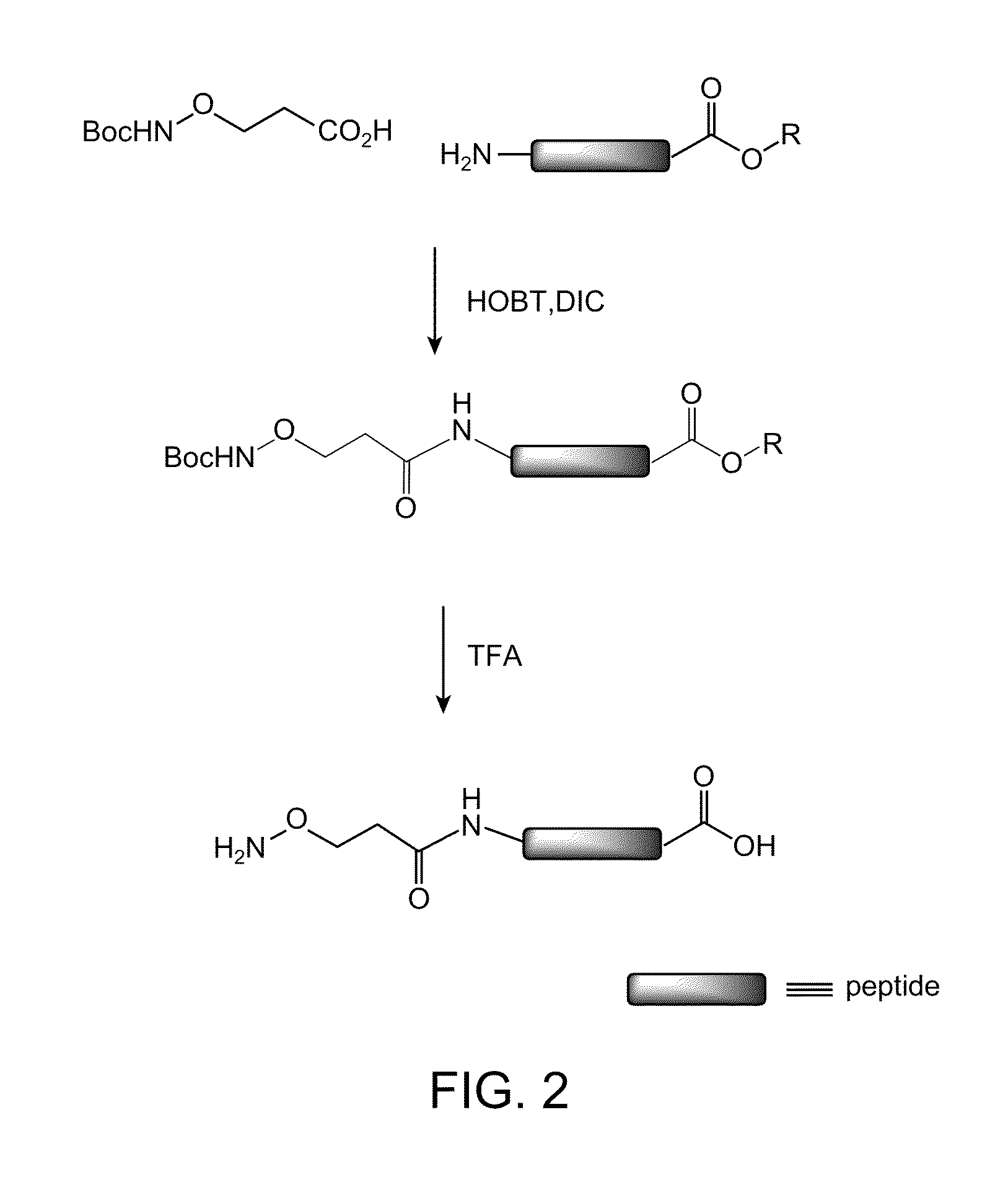 Aldehyde-Tagged Protein-Based Drug Carriers and Methods of Use