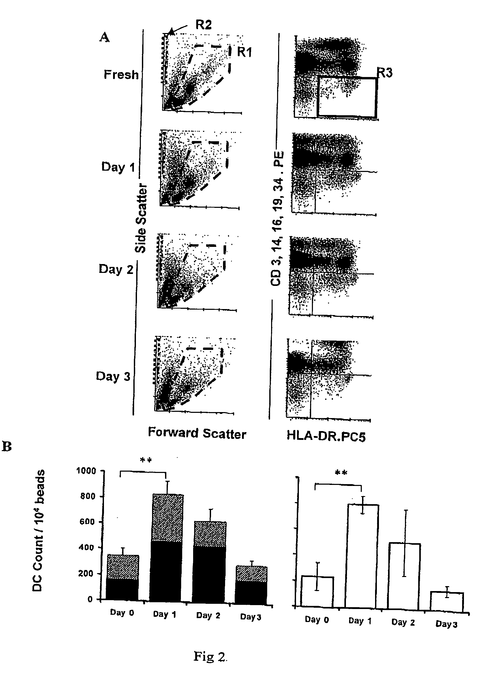 Method for culturing dendritic cells