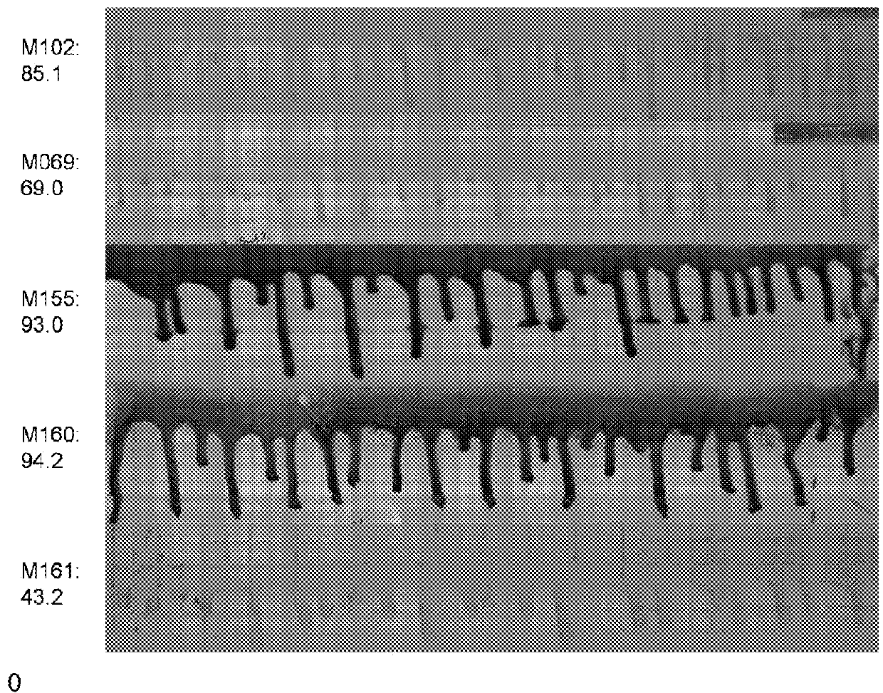 Peg-based adhesive phenylic derivatives and methods of synthesis and use