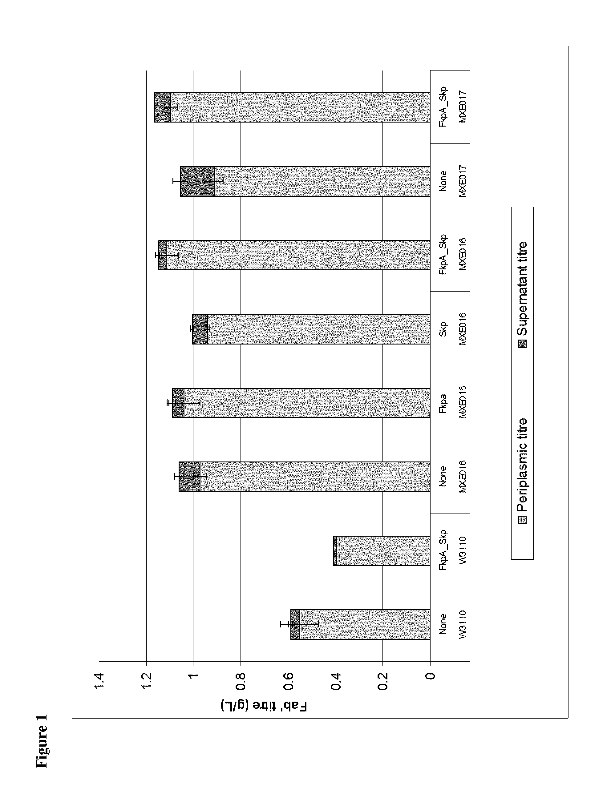 Recombinant Bacterial Host Cell for Protein Expression