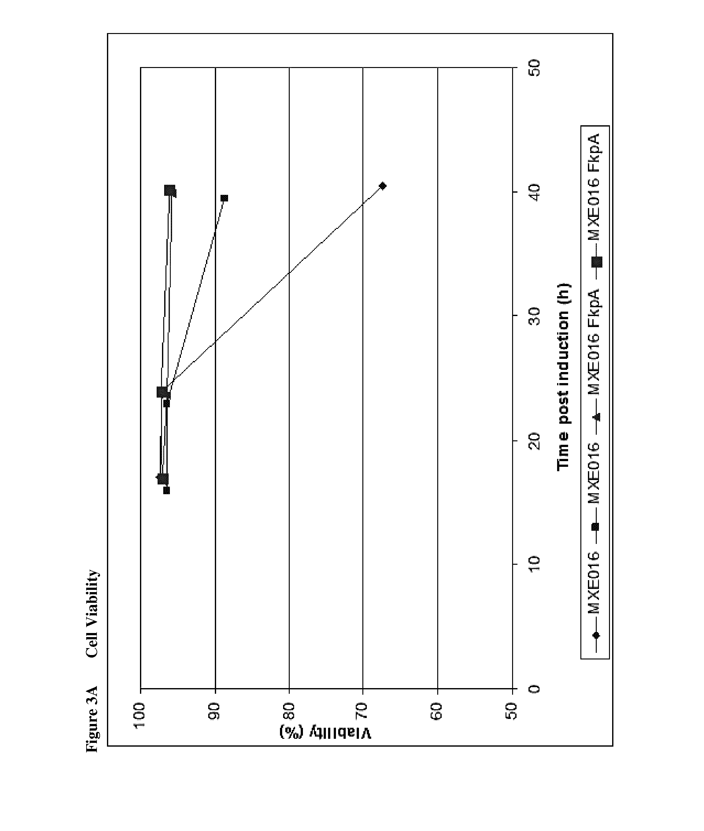 Recombinant Bacterial Host Cell for Protein Expression