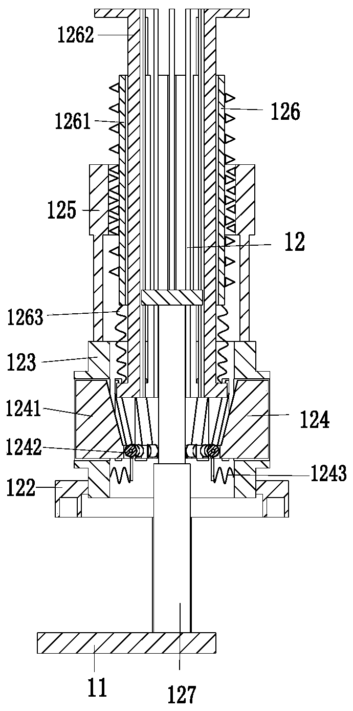 A multi-morphology display device for an experimental model of the spine