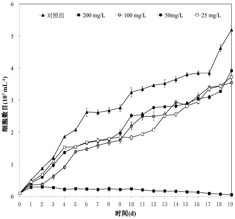 Ailanthus bark anti-algae agent and its preparation method and application