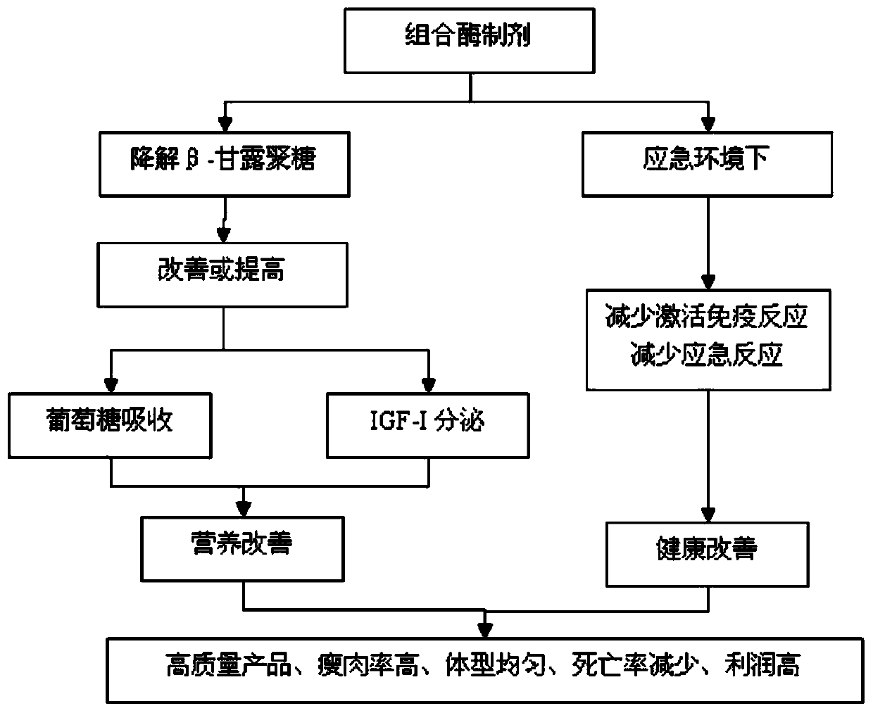 Combination enzyme preparation for solving problem of activating innate immune response by beta-mannan