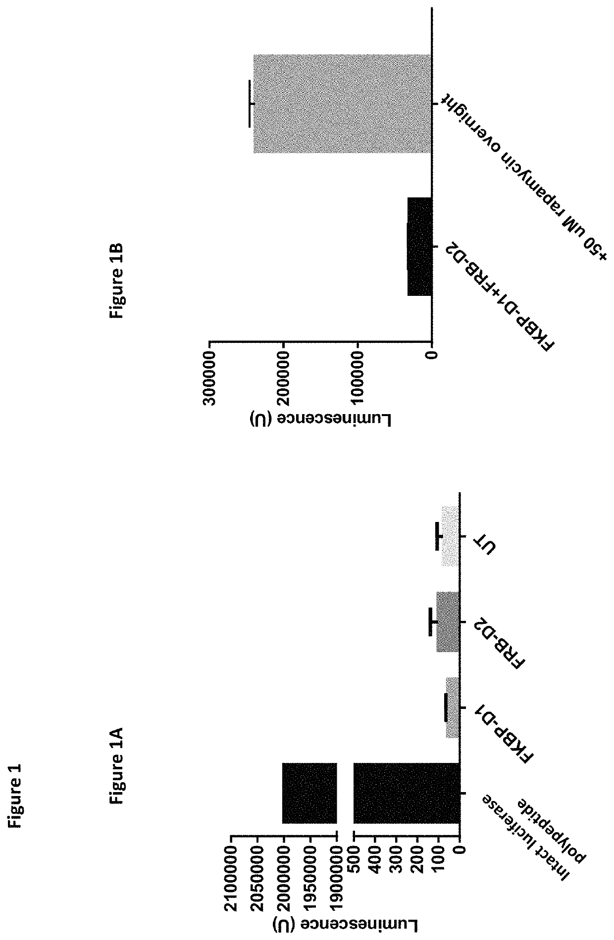 Assays using arrestin recruitment and unmodified receptors