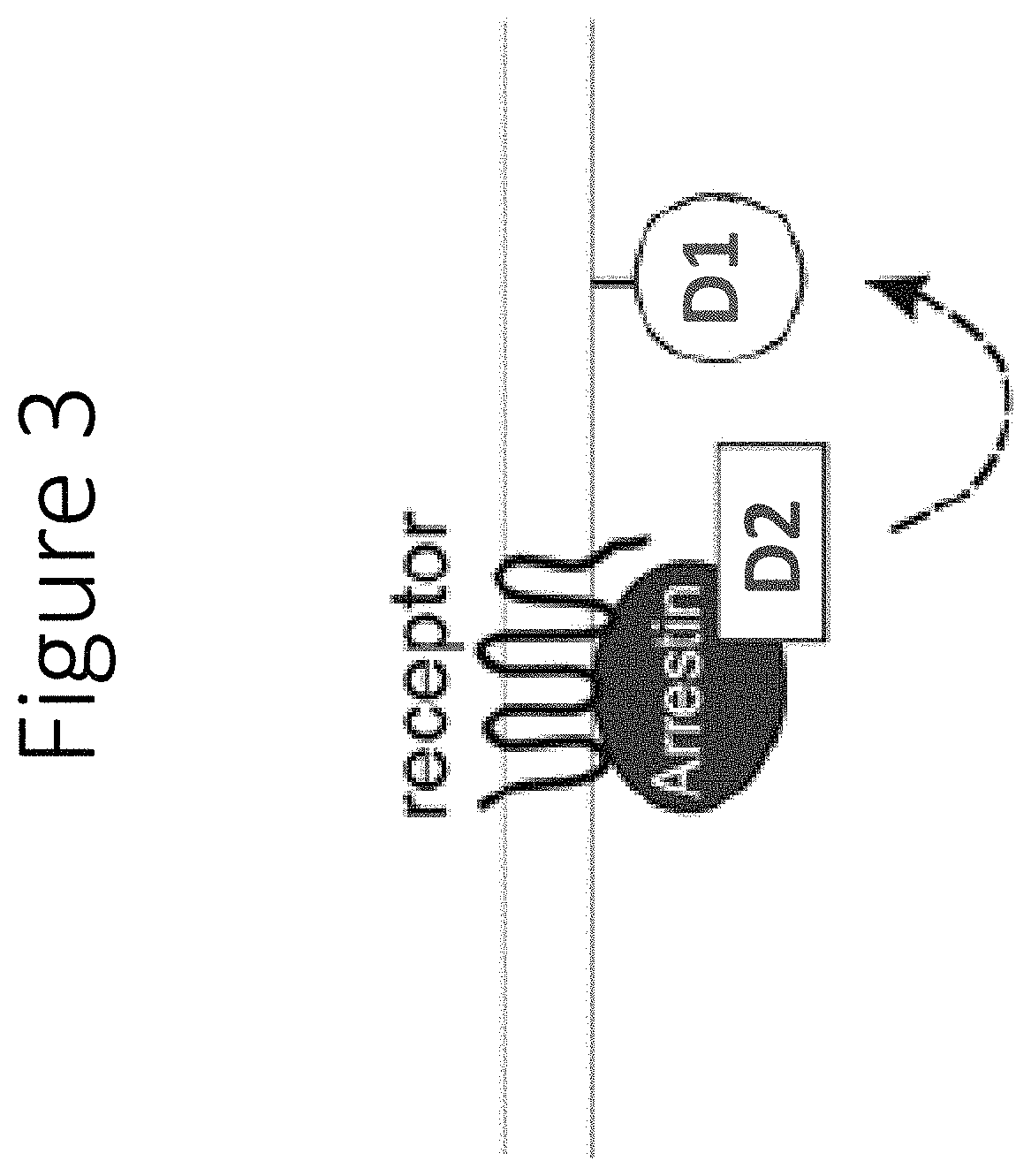 Assays using arrestin recruitment and unmodified receptors