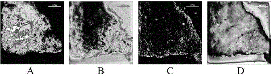 Method for submicron-scale in-situ characterization of soil microaggregate