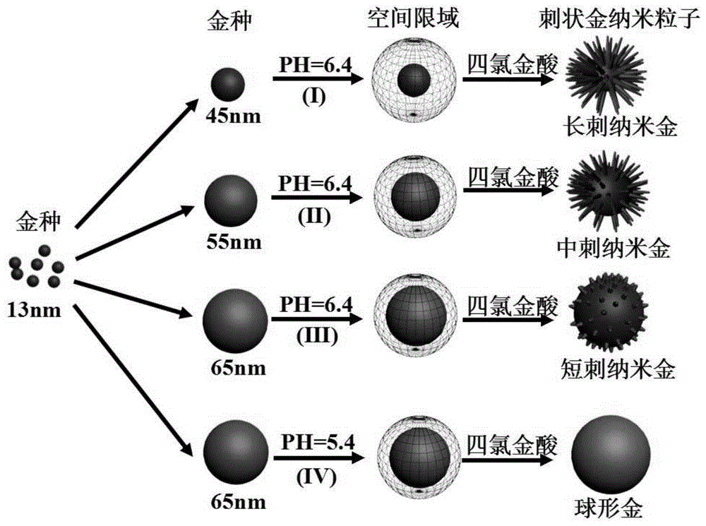 Preparation method of thorn-shaped gold nanoparticles and thorn-shaped gold nanoparticles prepared by the method