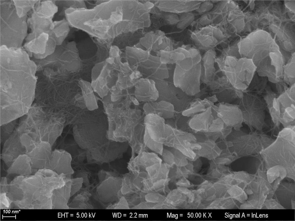 Method for preparing silicon negative electrode material coated with vapor-deposited carbon nanotubes