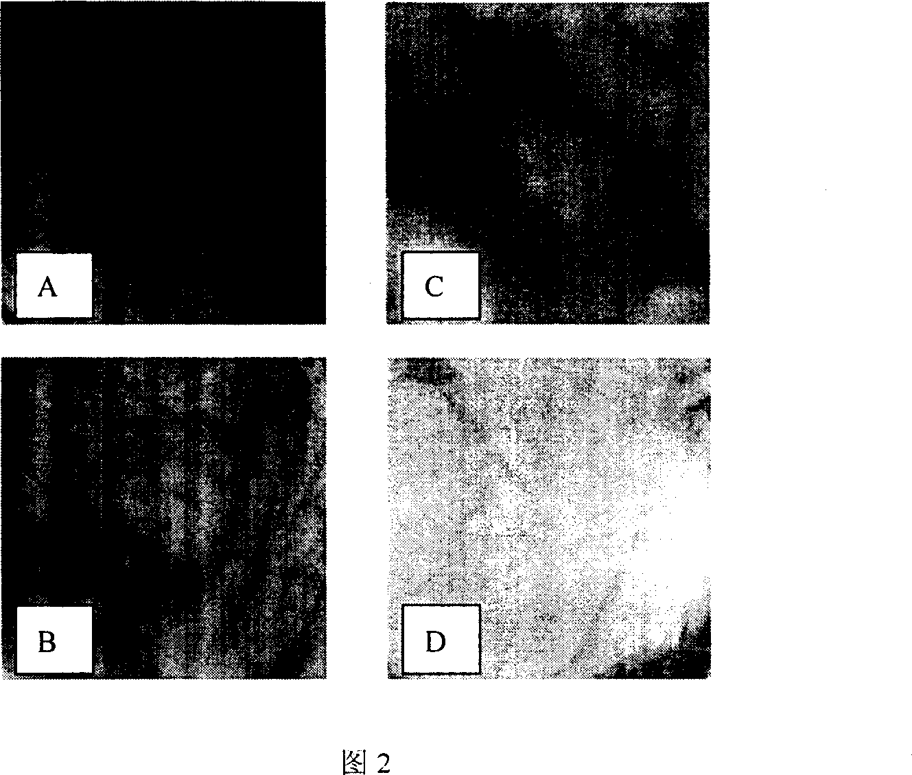 Peptide for high performance inhibition of angiogenesis and method for preparing same and use thereof