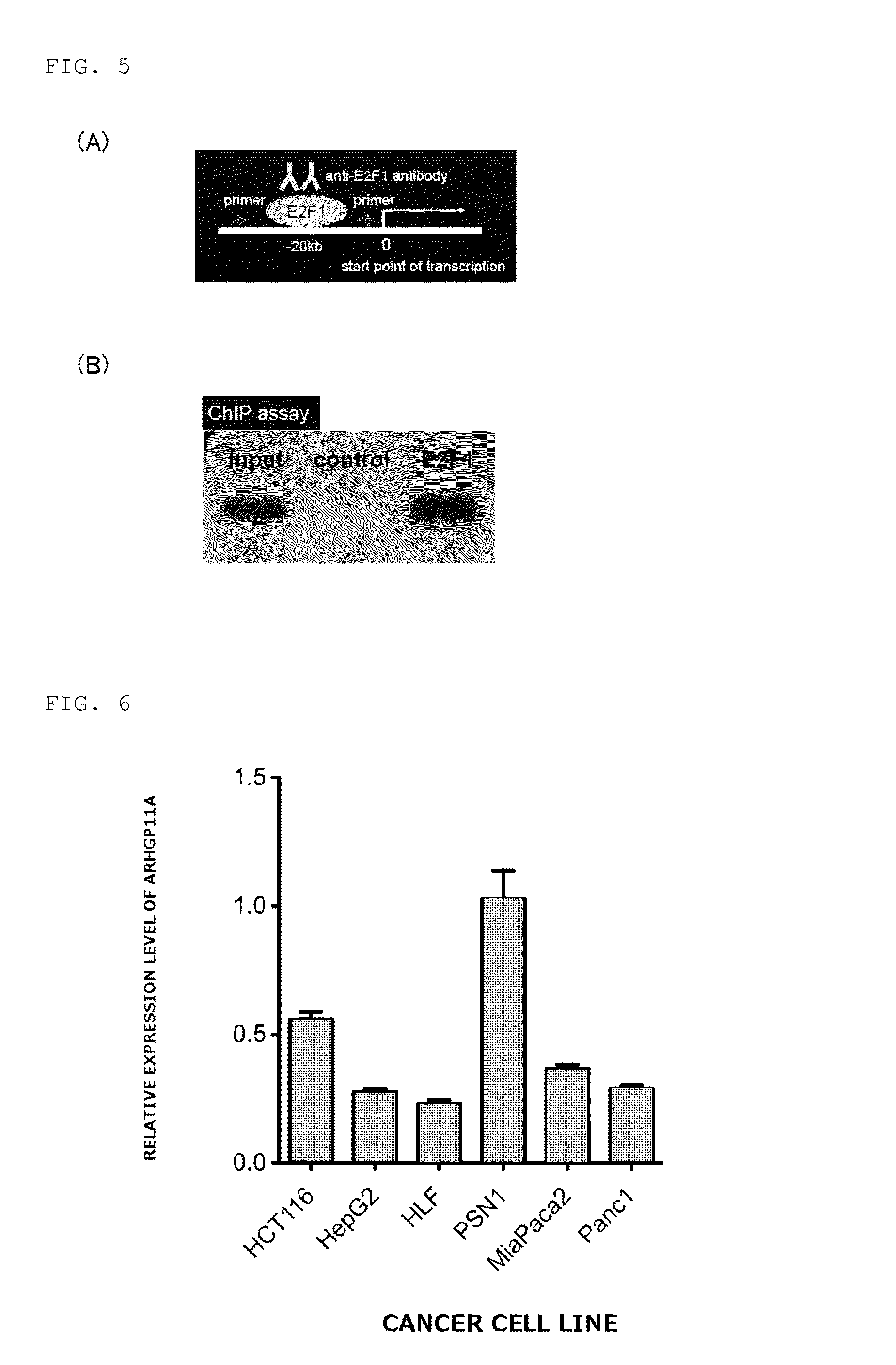 Novel Antitumor Agent and Method For Screening Same