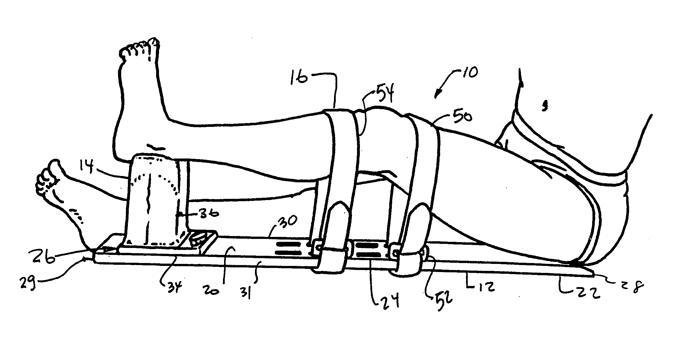 Knee extension apparatus