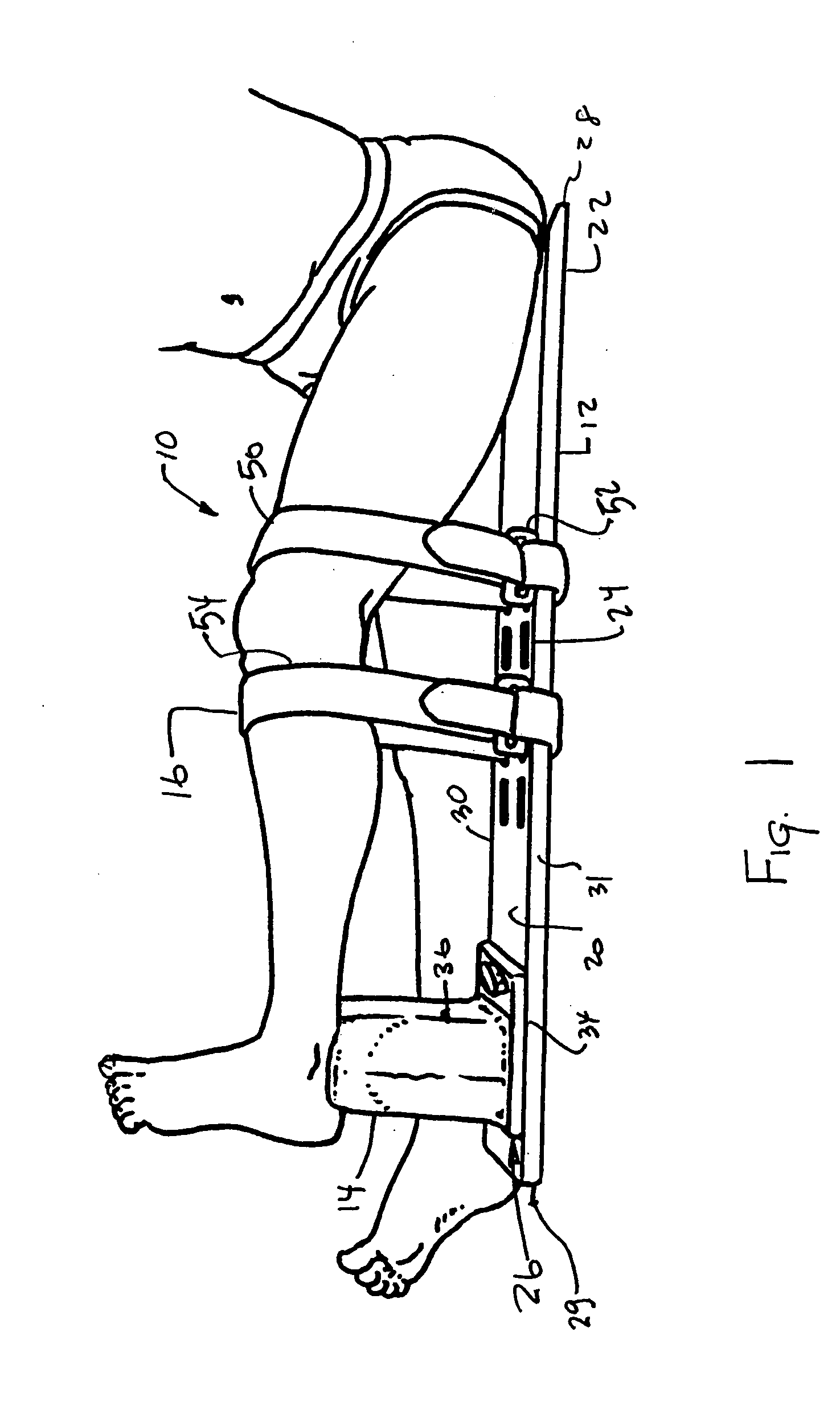 Knee extension apparatus
