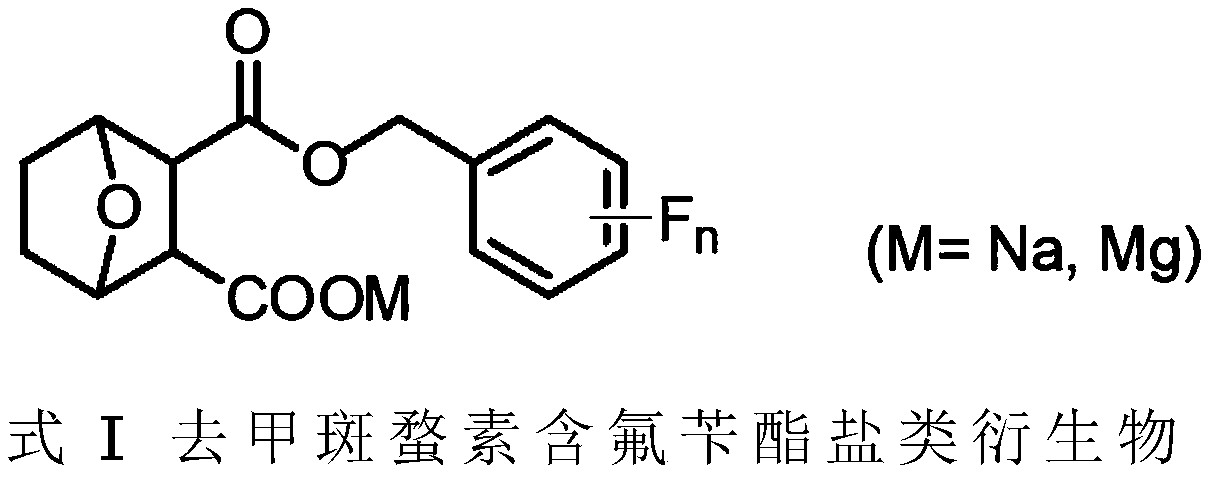 Norcantharidin fluorine-containing benzyl ester salt derivative as well as synthesis method and anti-tumor application thereof