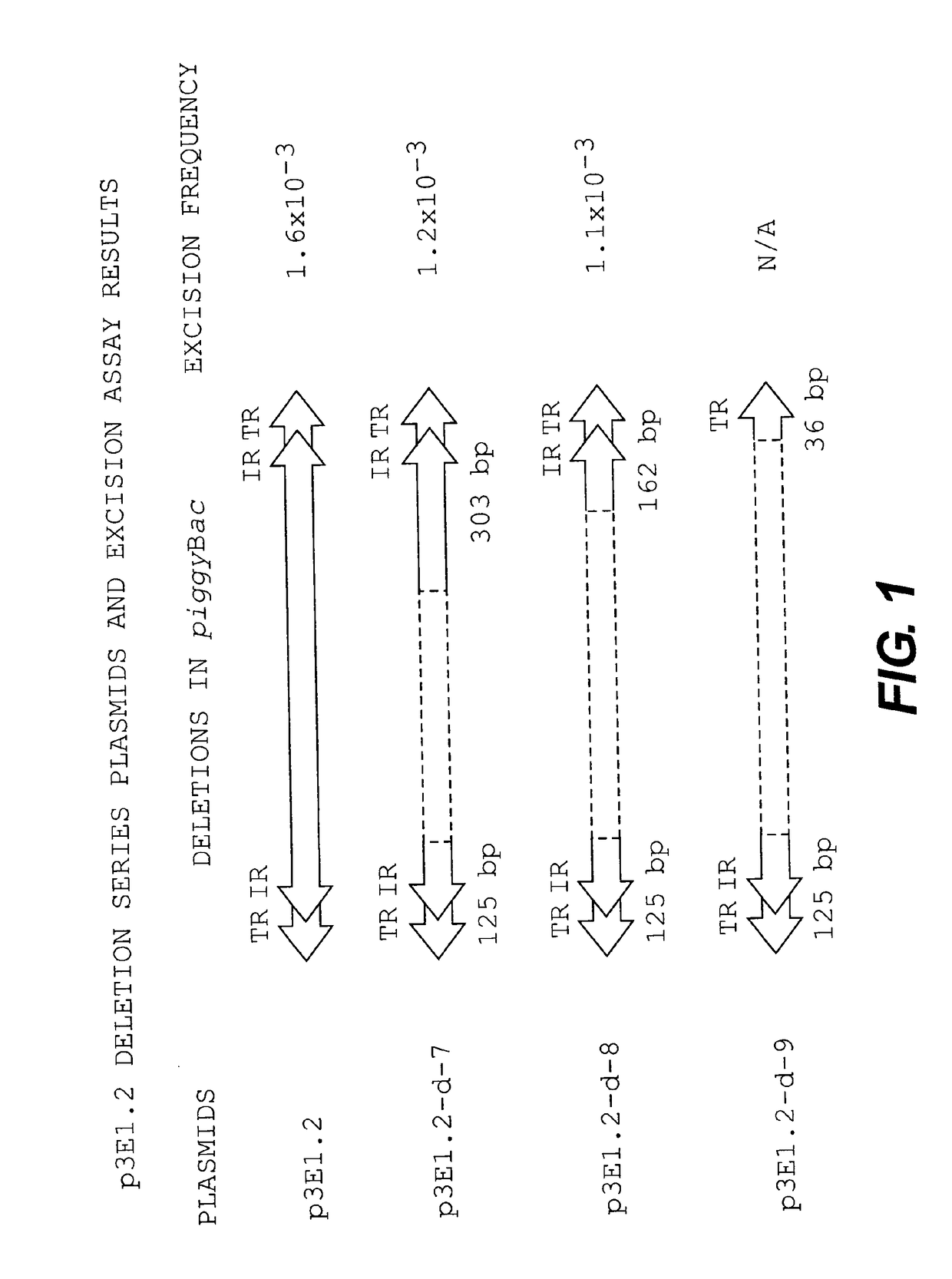 Methods and compositions for transposition using minimal segments of the eukaryotic transformation vector piggybac