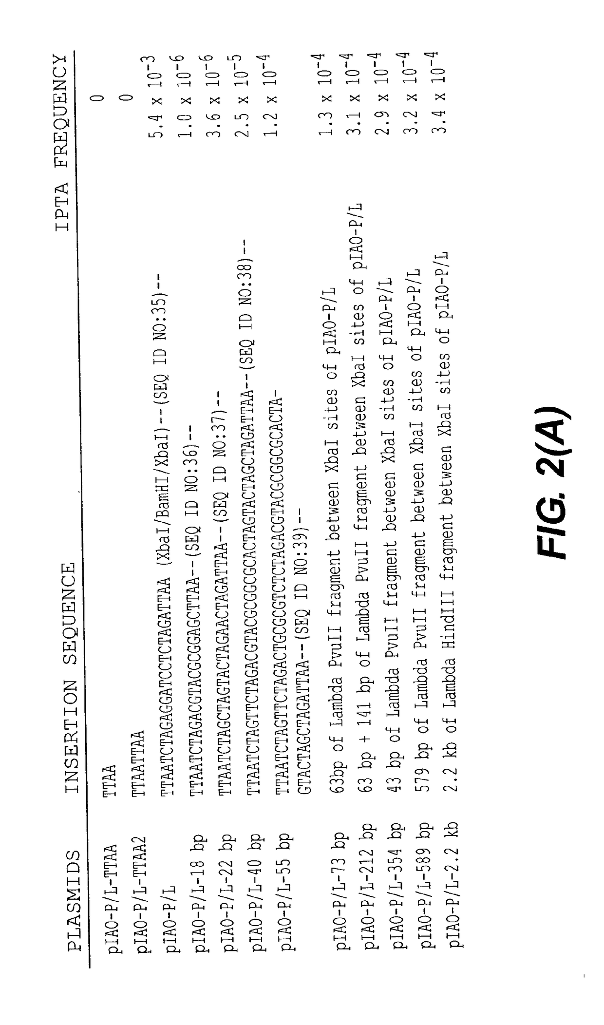 Methods and compositions for transposition using minimal segments of the eukaryotic transformation vector piggybac