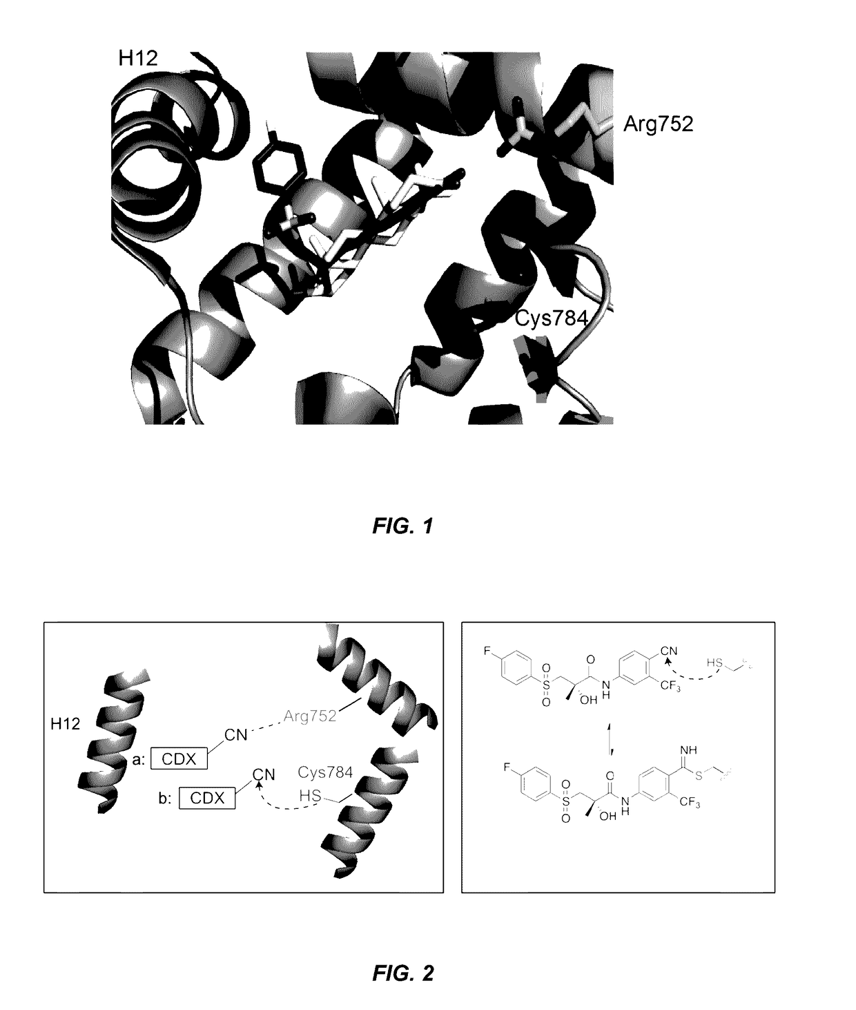 Androgen receptor antagonists