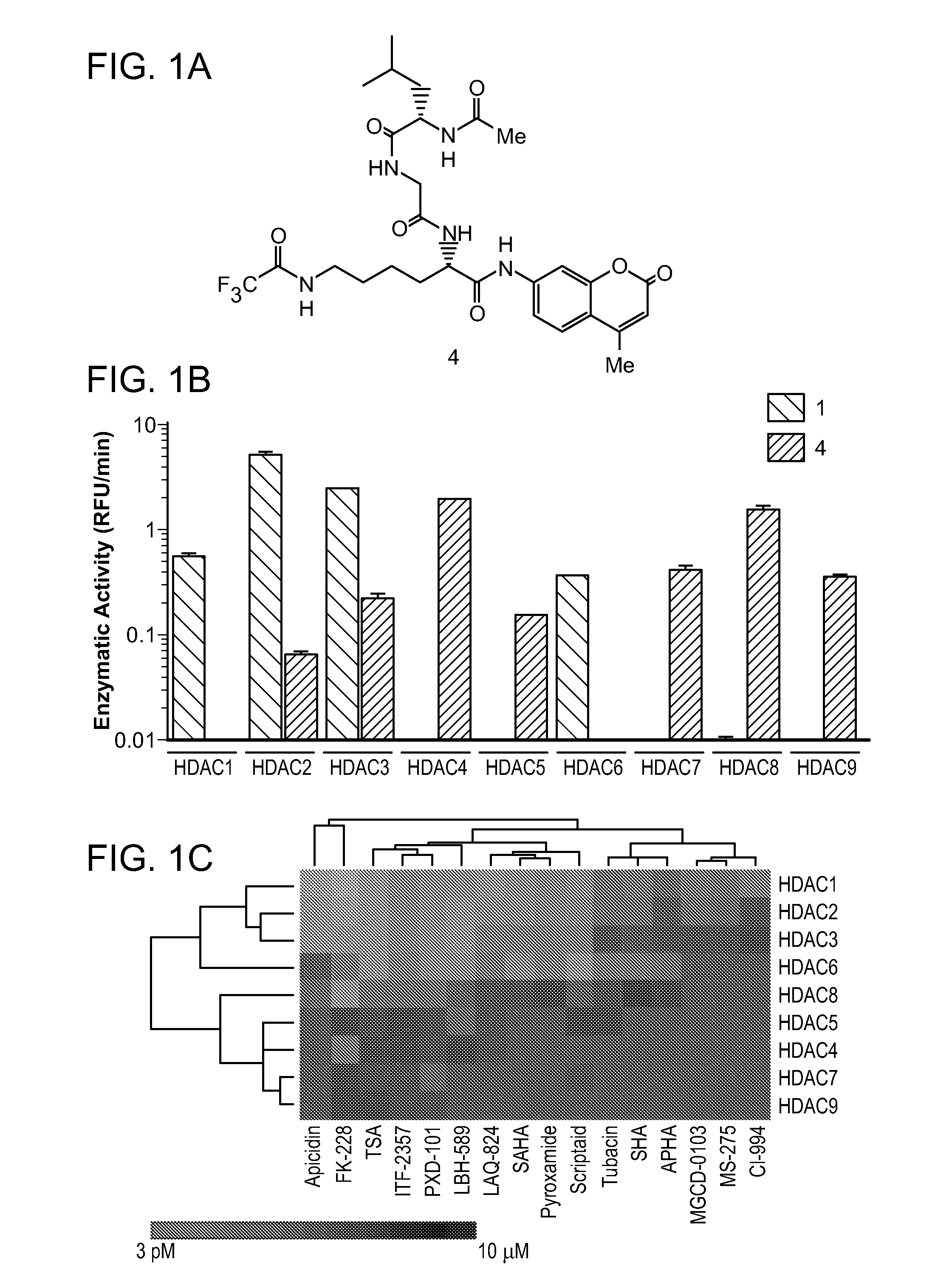 Class- and isoform-specific HDAC inhibitors and uses thereof