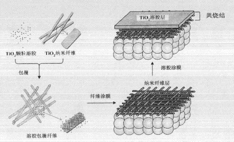 Asymmetrically-structural ceramic ultrafiltration membrane and preparation method thereof