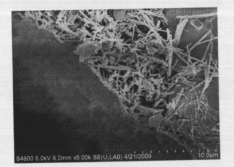 Asymmetrically-structural ceramic ultrafiltration membrane and preparation method thereof