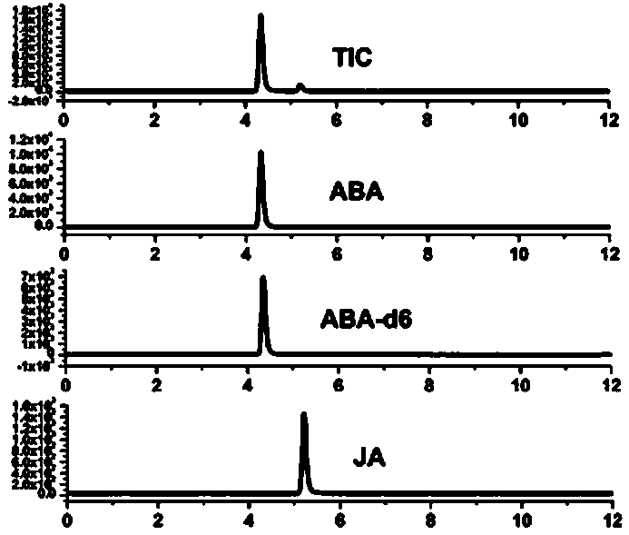 Method for detecting abscisic acid and jasmonic acid in fresh tobacco leaves through liquid chromatogram-tandem mass spectrometry
