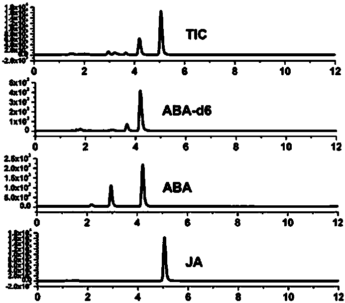 Method for detecting abscisic acid and jasmonic acid in fresh tobacco leaves through liquid chromatogram-tandem mass spectrometry