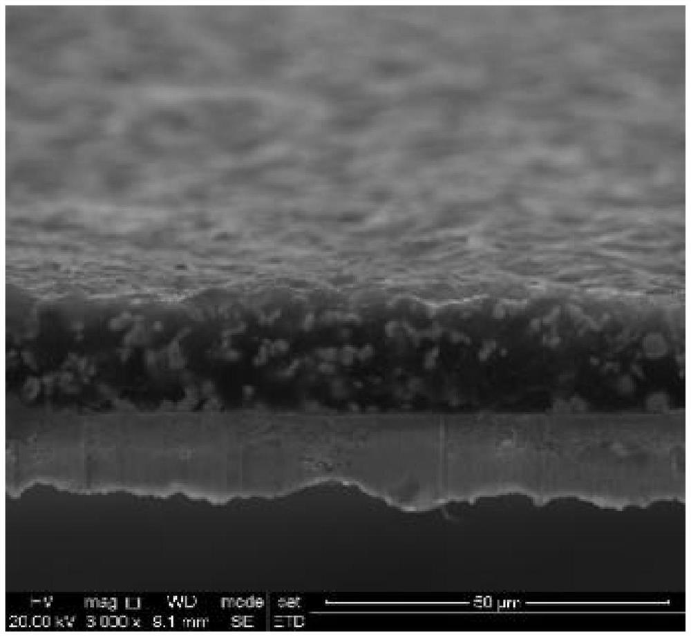 Ultrathin lithium-rich alloy with embedded three-dimensional skeleton structure as well as preparation method and application of ultrathin lithium-rich alloy