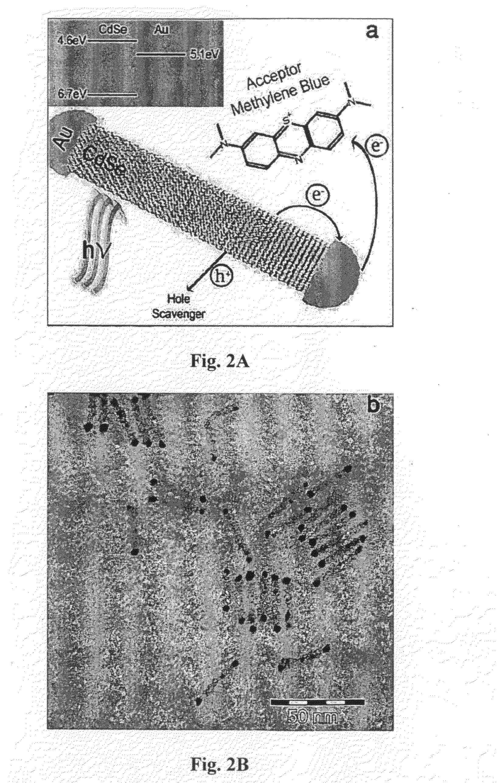 Hybrid metal-semiconductor nanoparticles and methods for photo-inducing charge separation and applications thereof
